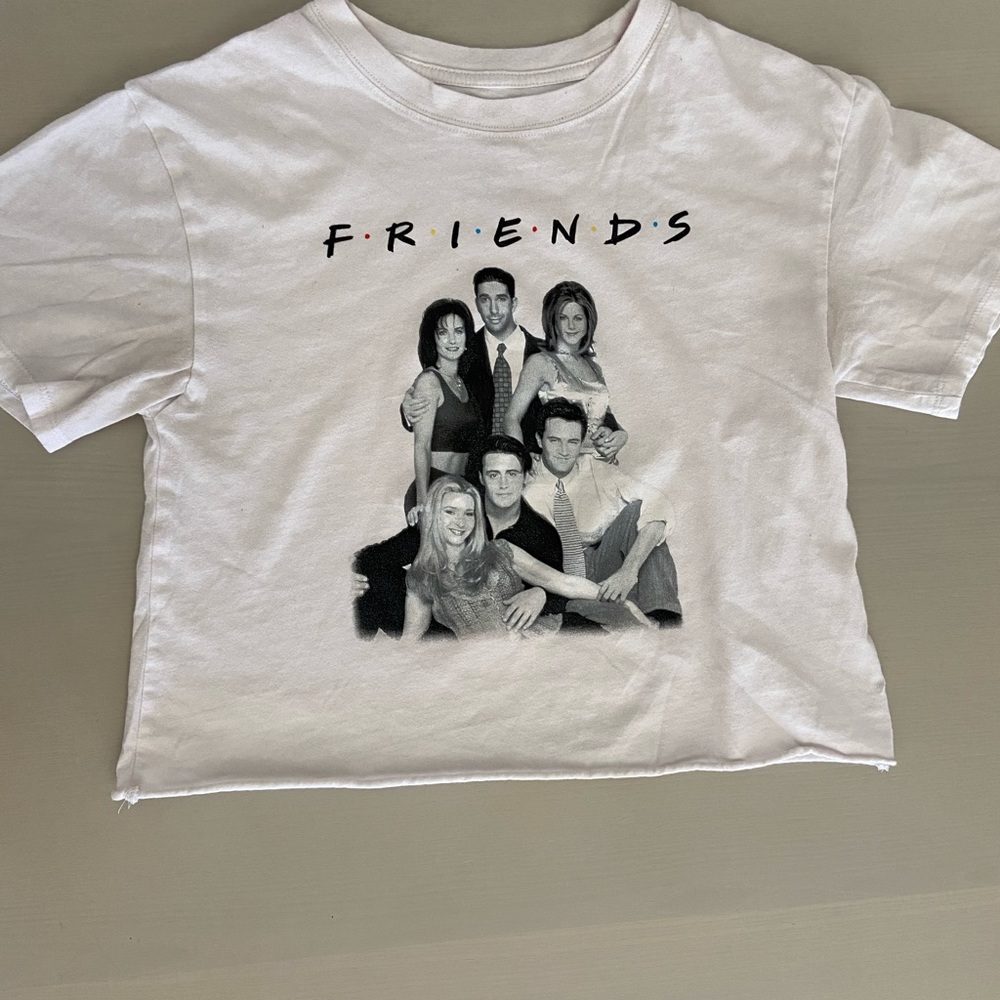 Friends show crop top